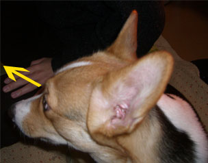 �M�������R